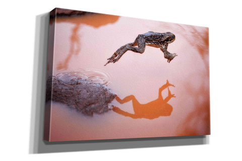 Image of 'Frog Jump 3' by Thomas Haney, Giclee Canvas Wall Art