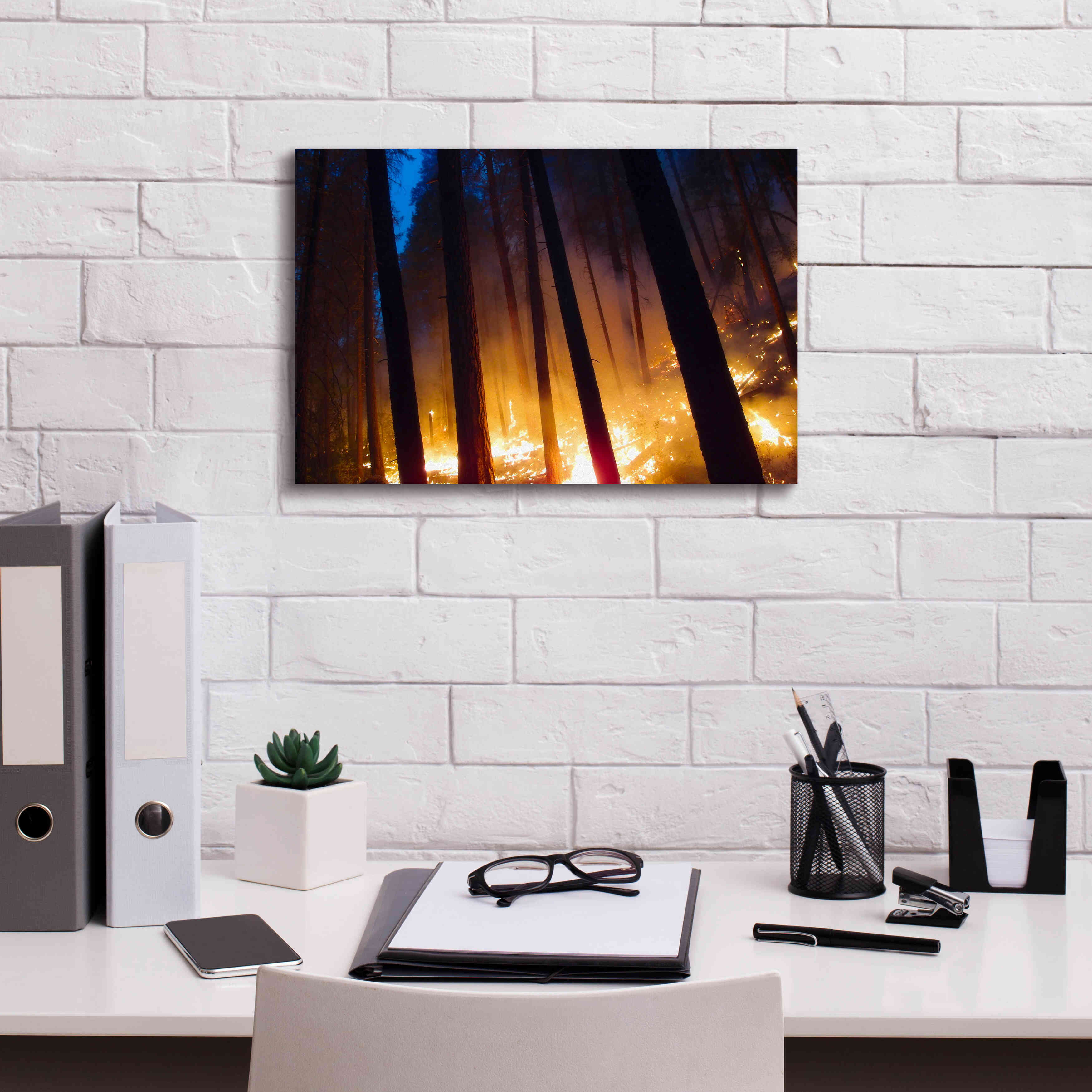 'Burning Forest' by Thomas Haney, Giclee Canvas Wall Art,18 x 12