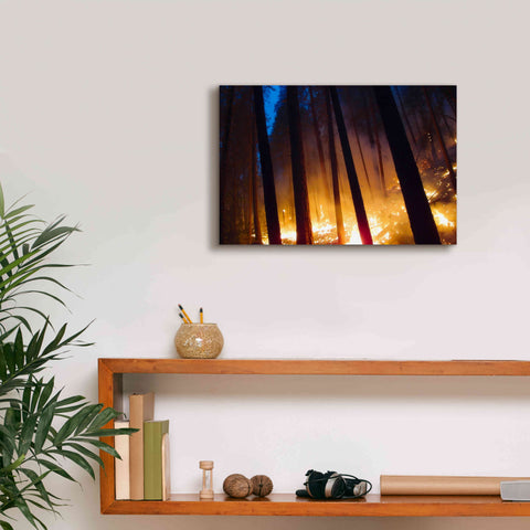Image of 'Burning Forest' by Thomas Haney, Giclee Canvas Wall Art,18 x 12