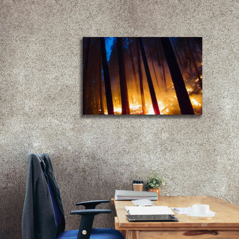 Image of 'Burning Forest' by Thomas Haney, Giclee Canvas Wall Art,40 x 26