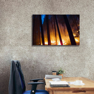 'Burning Forest' by Thomas Haney, Giclee Canvas Wall Art,40 x 26