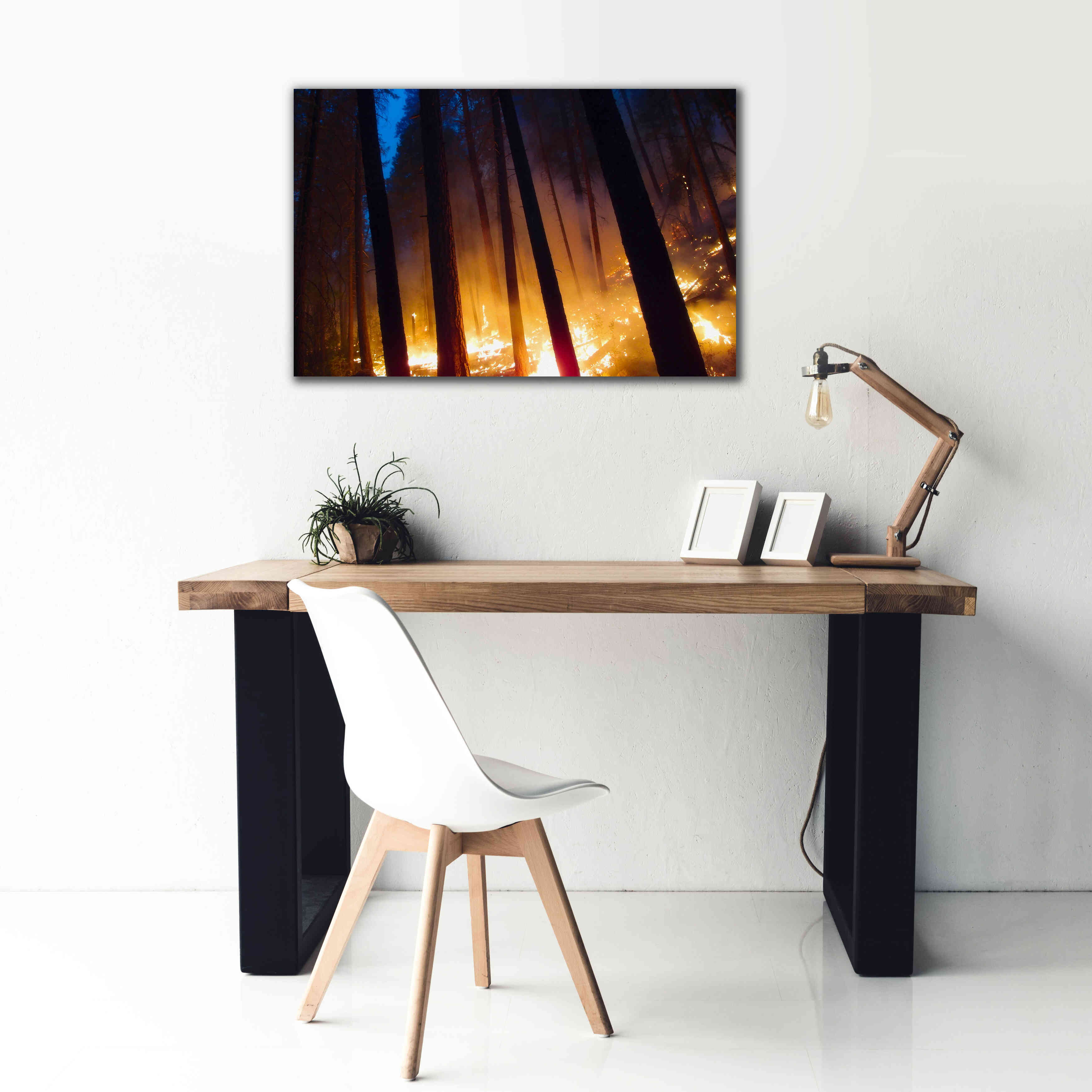 'Burning Forest' by Thomas Haney, Giclee Canvas Wall Art,40 x 26