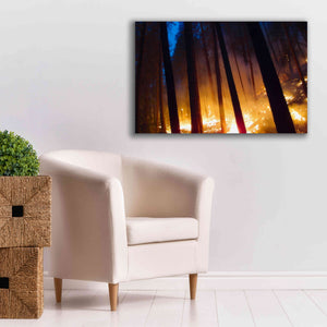 'Burning Forest' by Thomas Haney, Giclee Canvas Wall Art,40 x 26