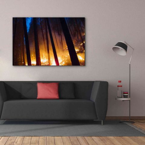 Image of 'Burning Forest' by Thomas Haney, Giclee Canvas Wall Art,60 x 40