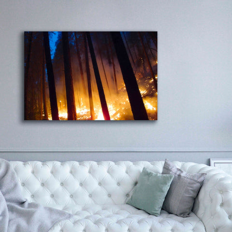 Image of 'Burning Forest' by Thomas Haney, Giclee Canvas Wall Art,60 x 40