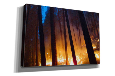 Image of 'Burning Forest' by Thomas Haney, Giclee Canvas Wall Art