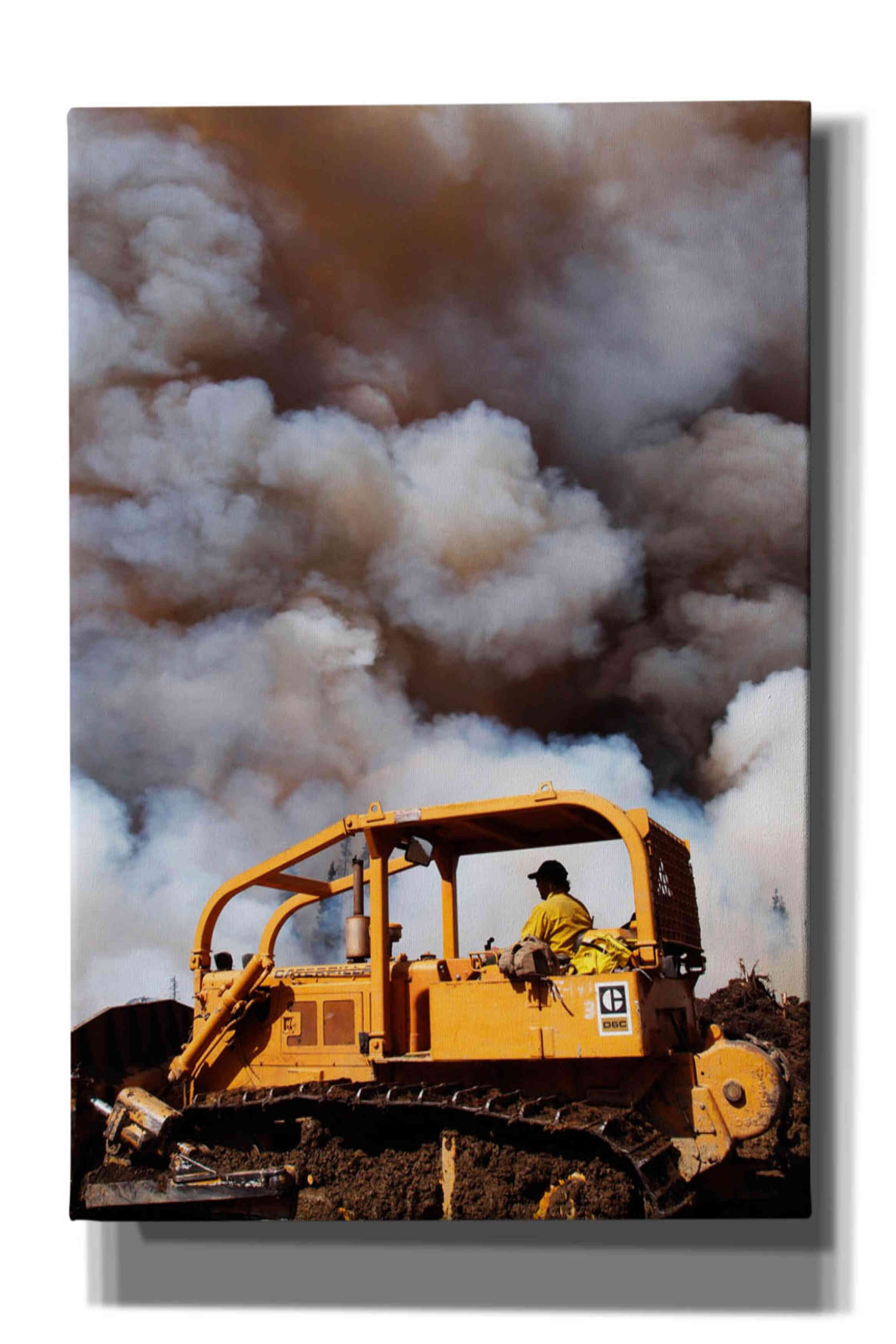 'Dozer' by Thomas Haney, Giclee Canvas Wall Art