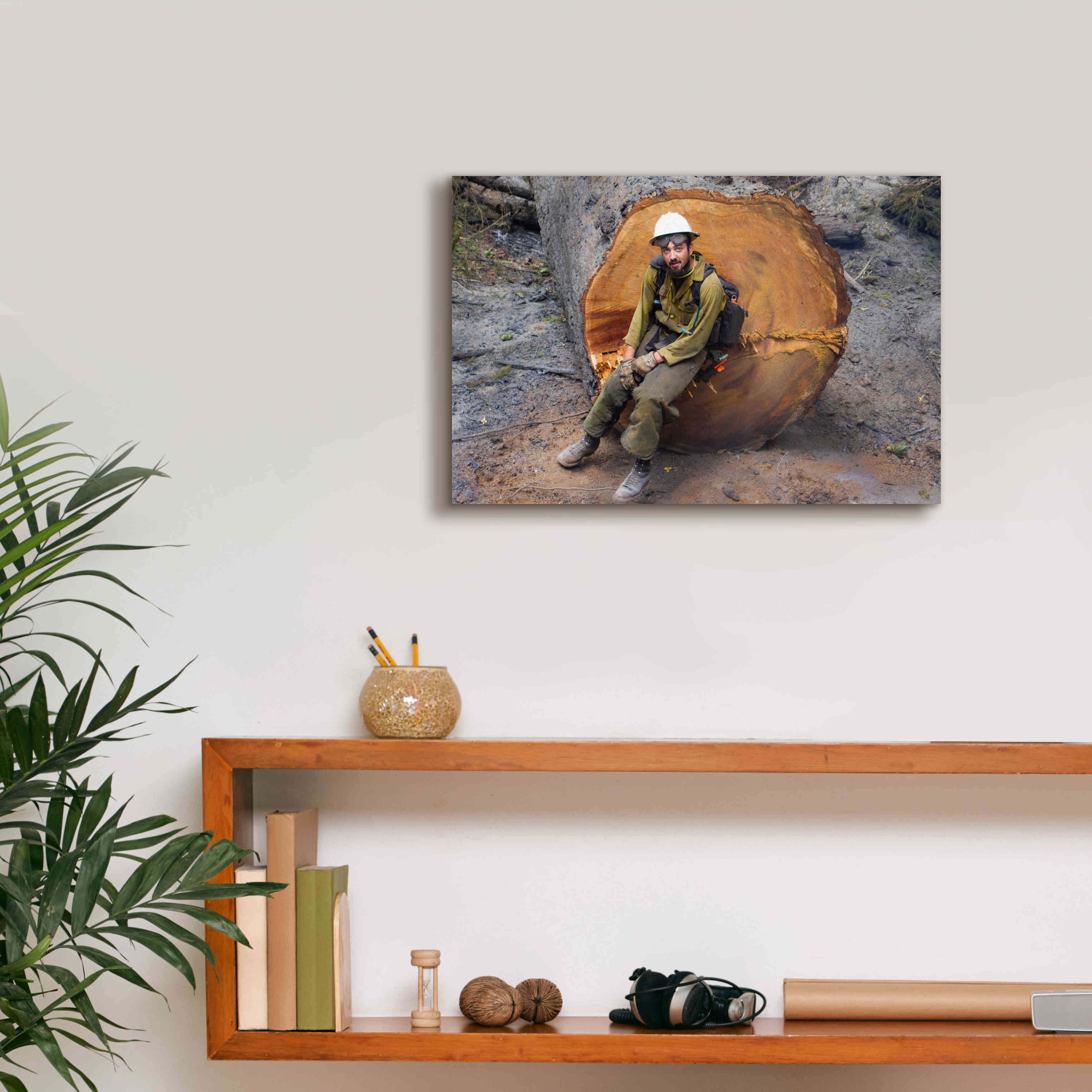 'Halvey' by Thomas Haney, Giclee Canvas Wall Art,18 x 12