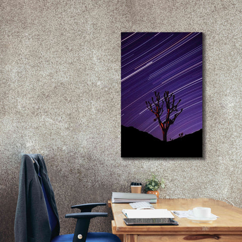 Image of 'Joshua Tree Brilliant Stars 2' by Thomas Haney, Giclee Canvas Wall Art,26 x 40