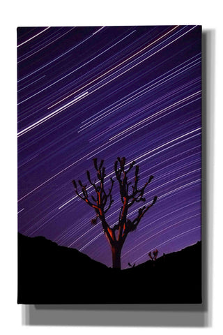 Image of 'Joshua Tree Brilliant Stars 2' by Thomas Haney, Giclee Canvas Wall Art