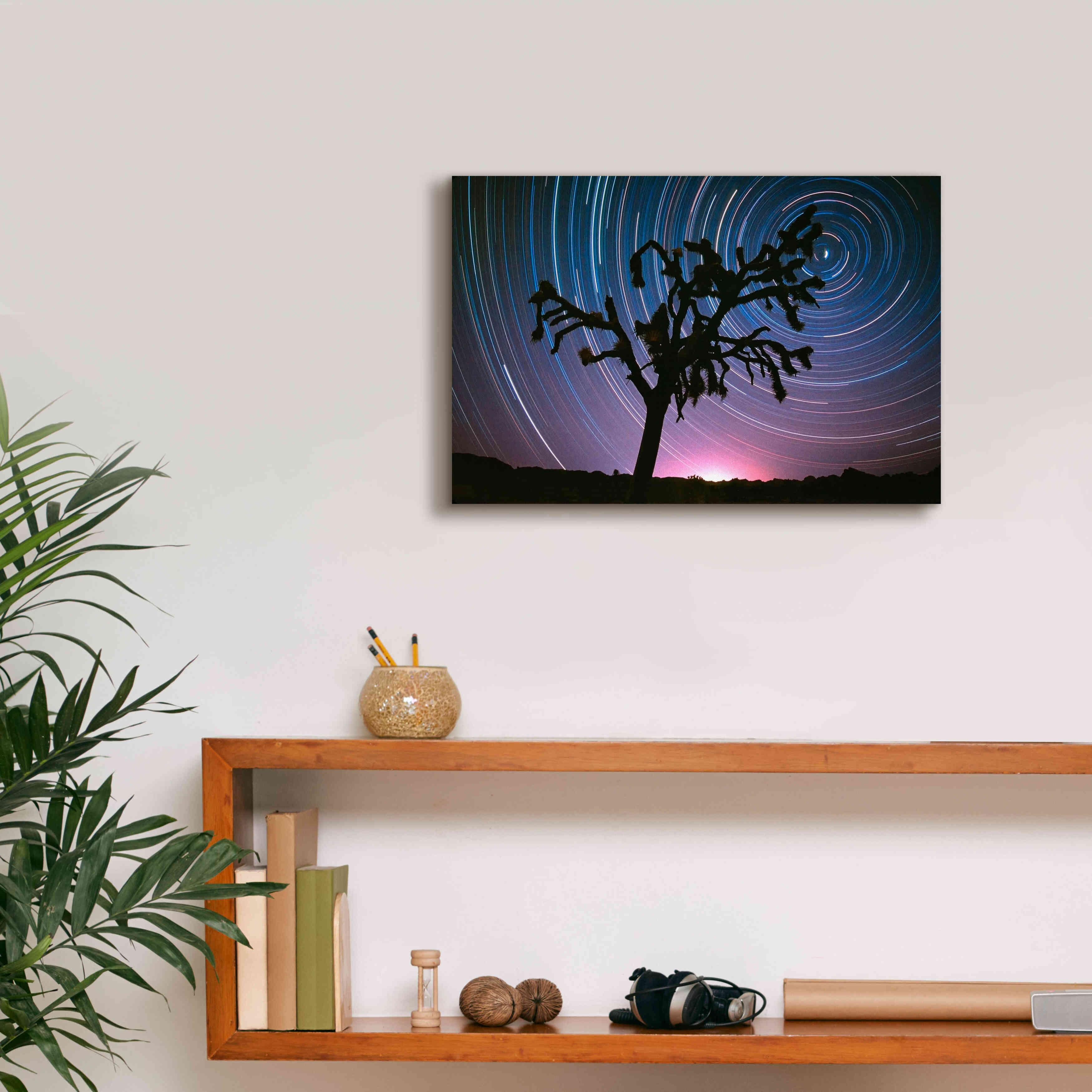 'Joshua Tree North Star Proc' by Thomas Haney, Giclee Canvas Wall Art,18 x 12