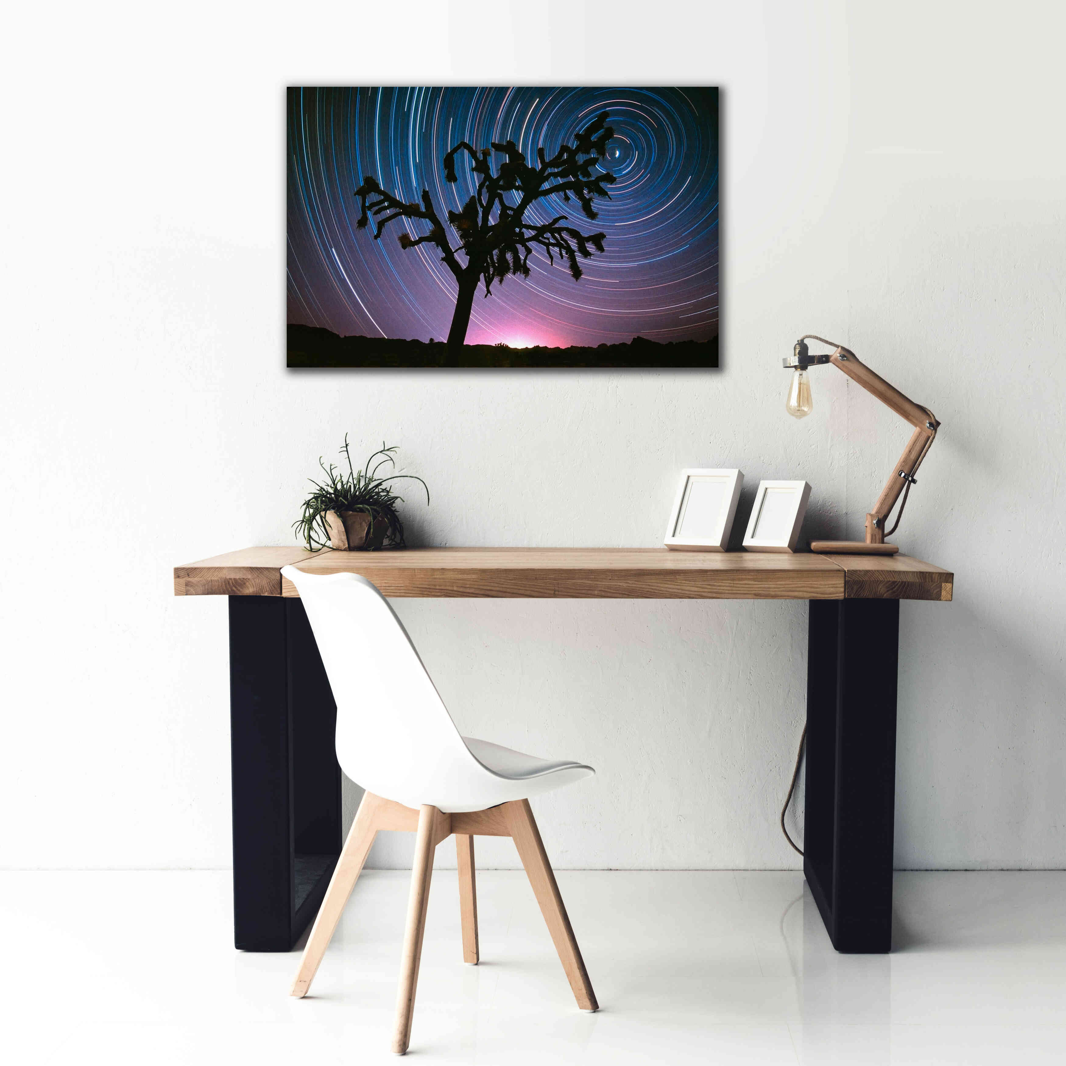 'Joshua Tree North Star Proc' by Thomas Haney, Giclee Canvas Wall Art,40 x 26