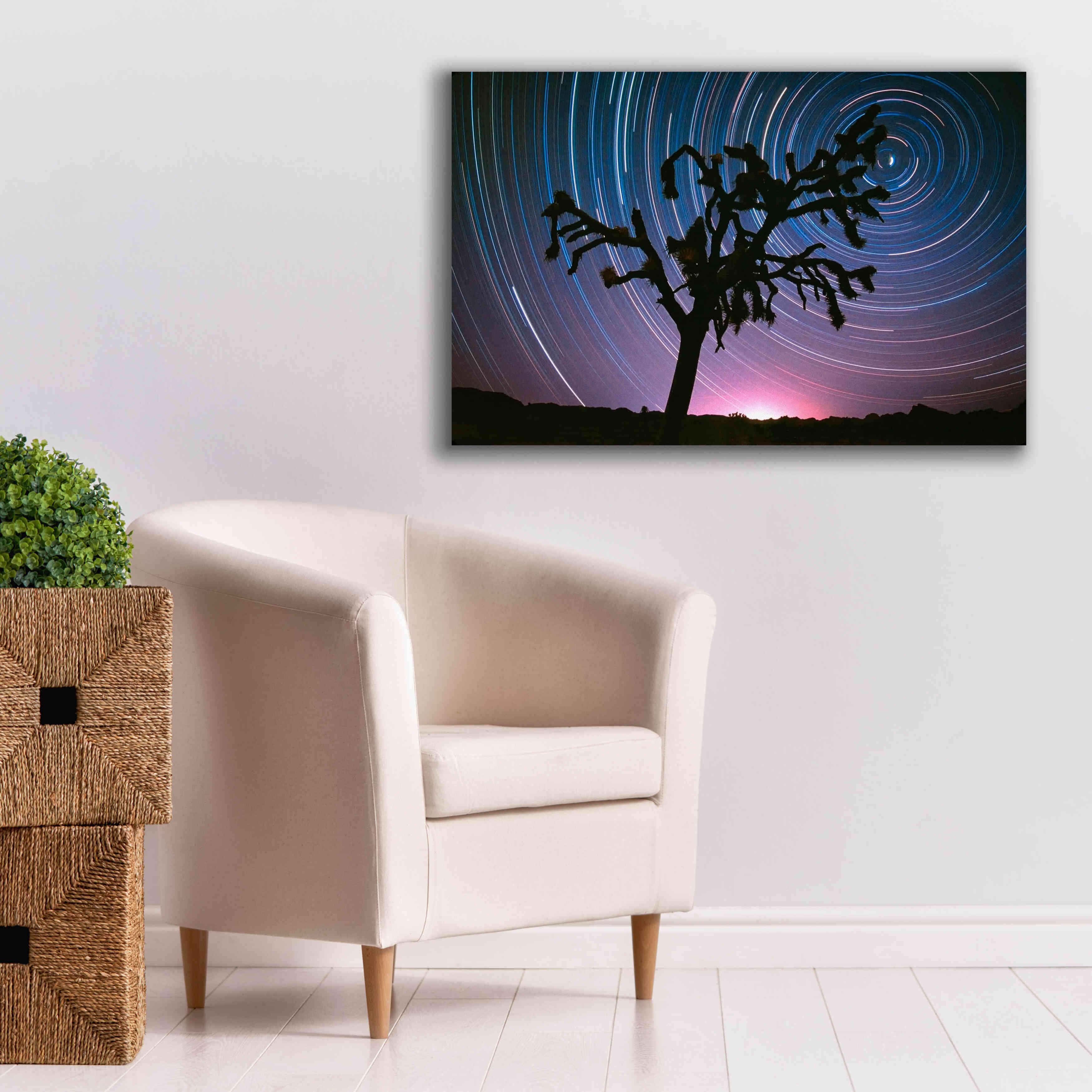 'Joshua Tree North Star Proc' by Thomas Haney, Giclee Canvas Wall Art,40 x 26