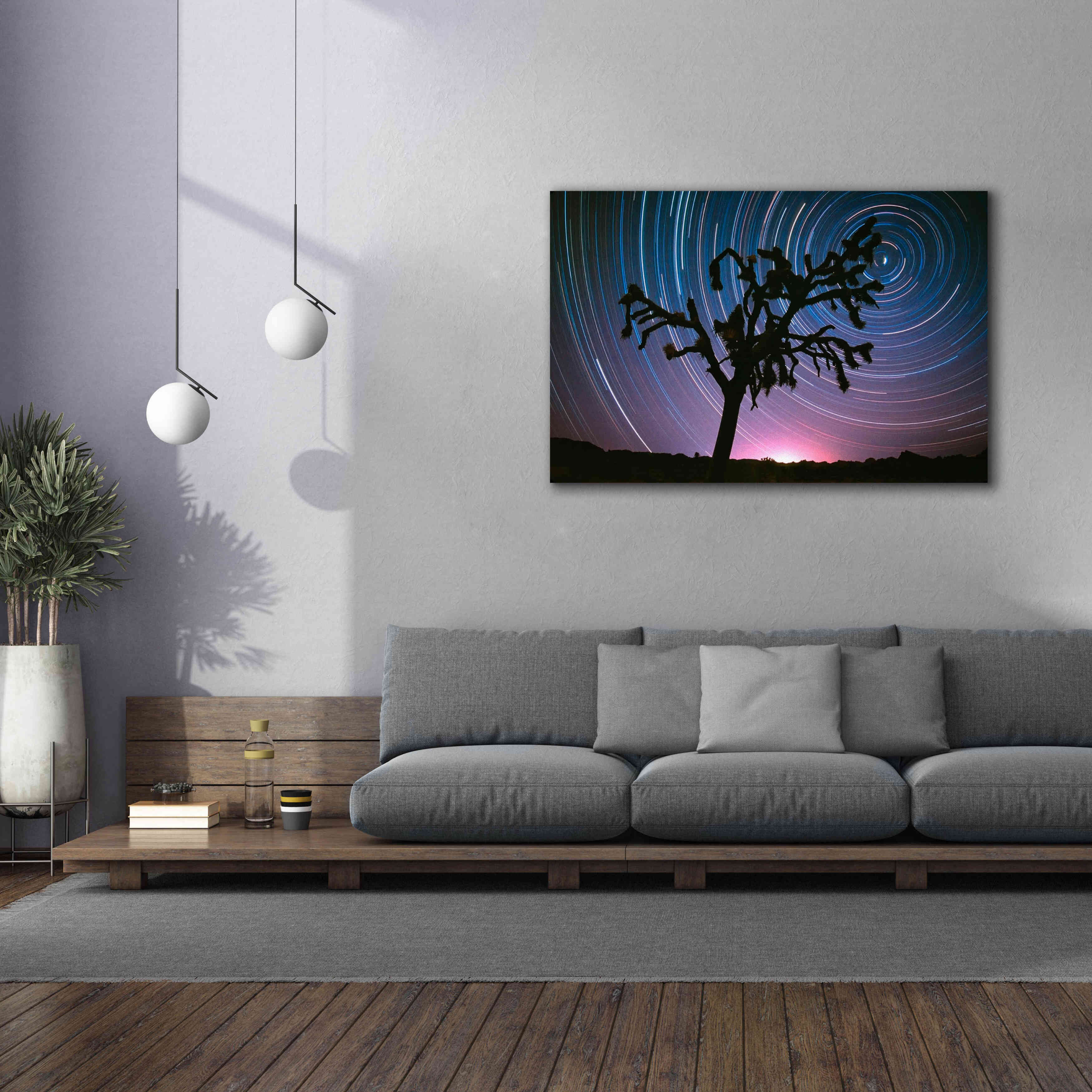 'Joshua Tree North Star Proc' by Thomas Haney, Giclee Canvas Wall Art,60 x 40