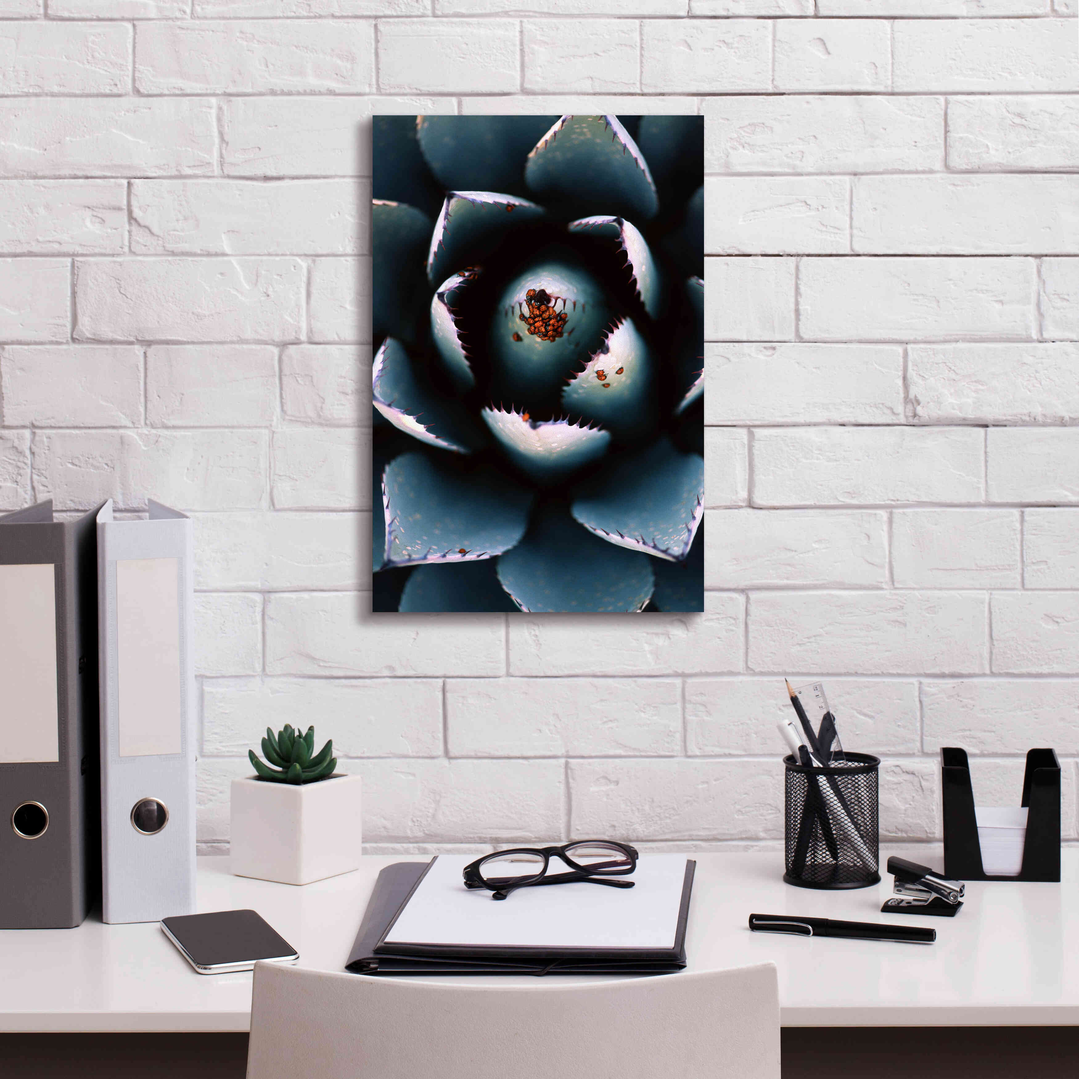 'Ladybugs Agave' by Thomas Haney, Giclee Canvas Wall Art,12 x 18