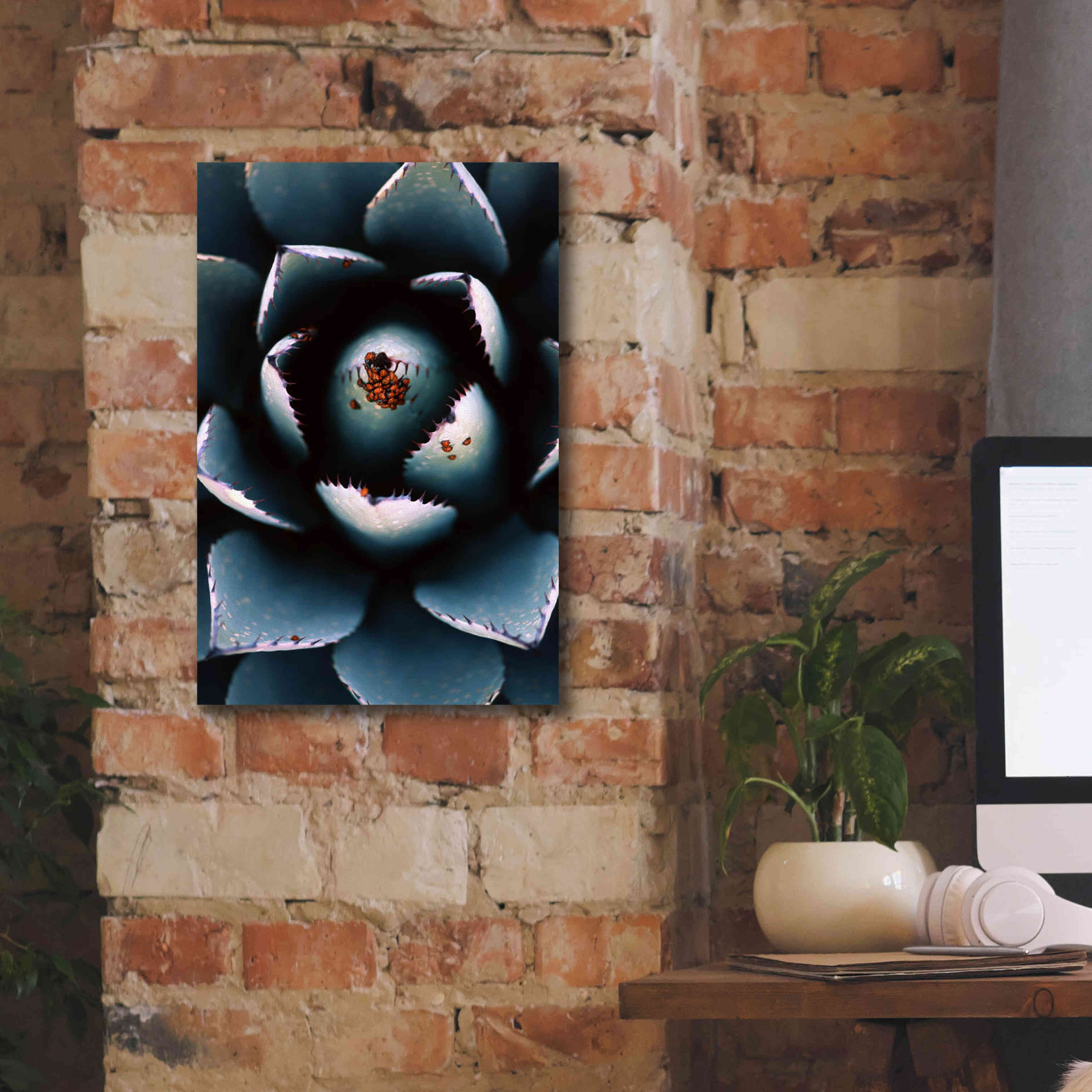 'Ladybugs Agave' by Thomas Haney, Giclee Canvas Wall Art,12 x 18