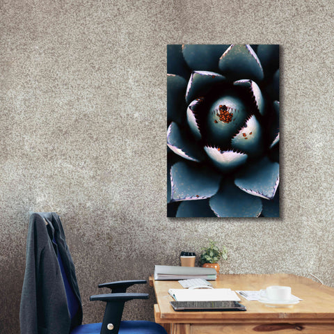 Image of 'Ladybugs Agave' by Thomas Haney, Giclee Canvas Wall Art,26 x 40