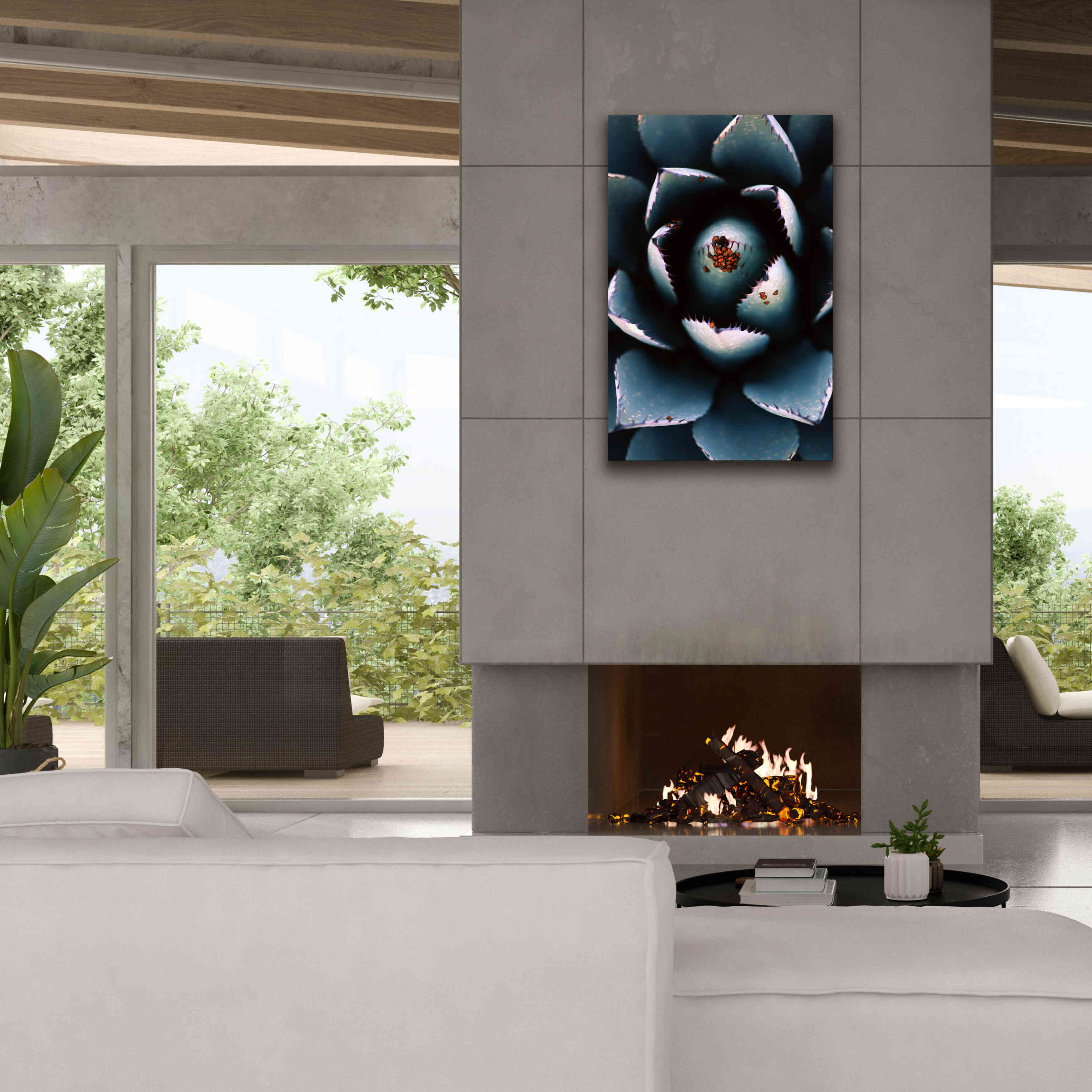 'Ladybugs Agave' by Thomas Haney, Giclee Canvas Wall Art,26 x 40