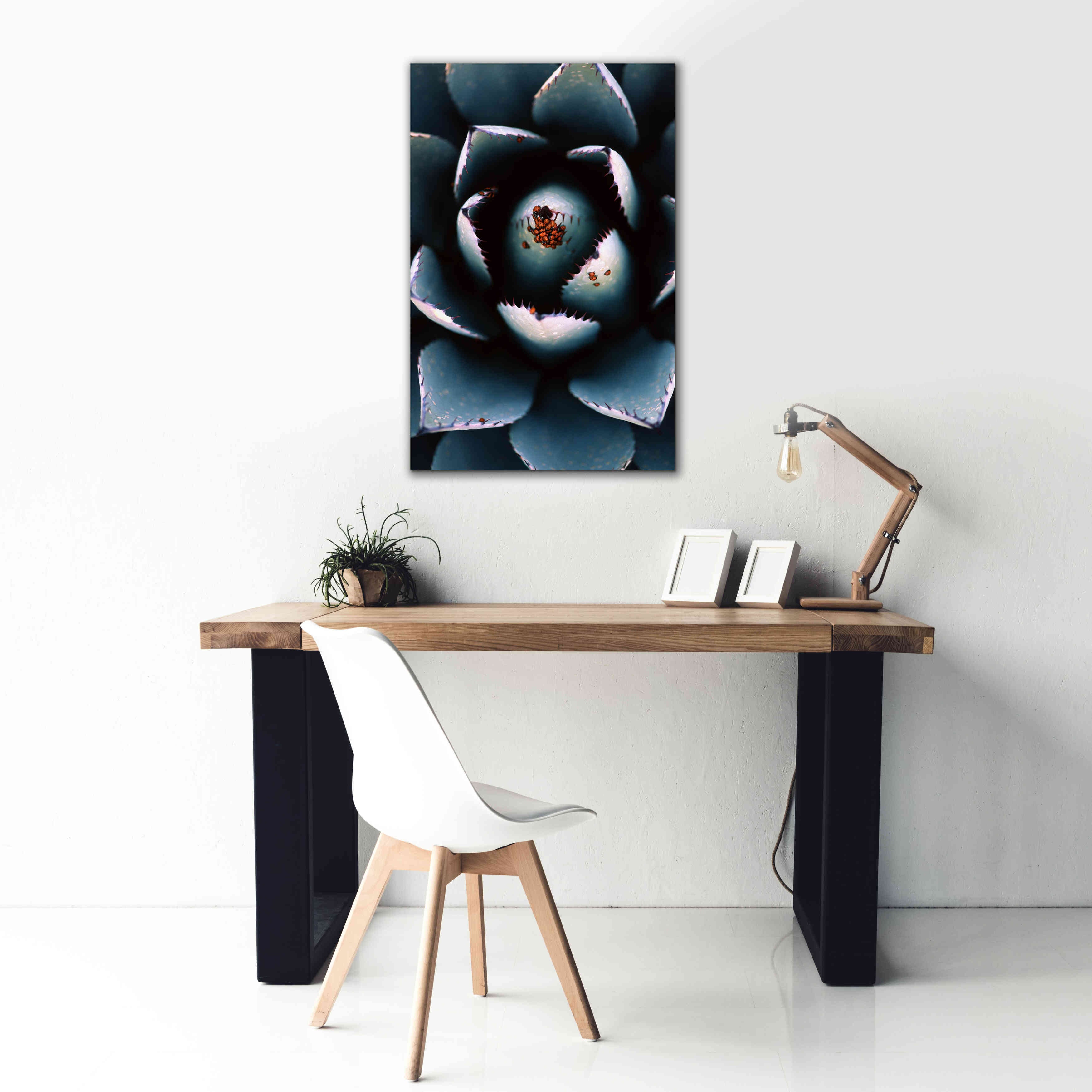 'Ladybugs Agave' by Thomas Haney, Giclee Canvas Wall Art,26 x 40