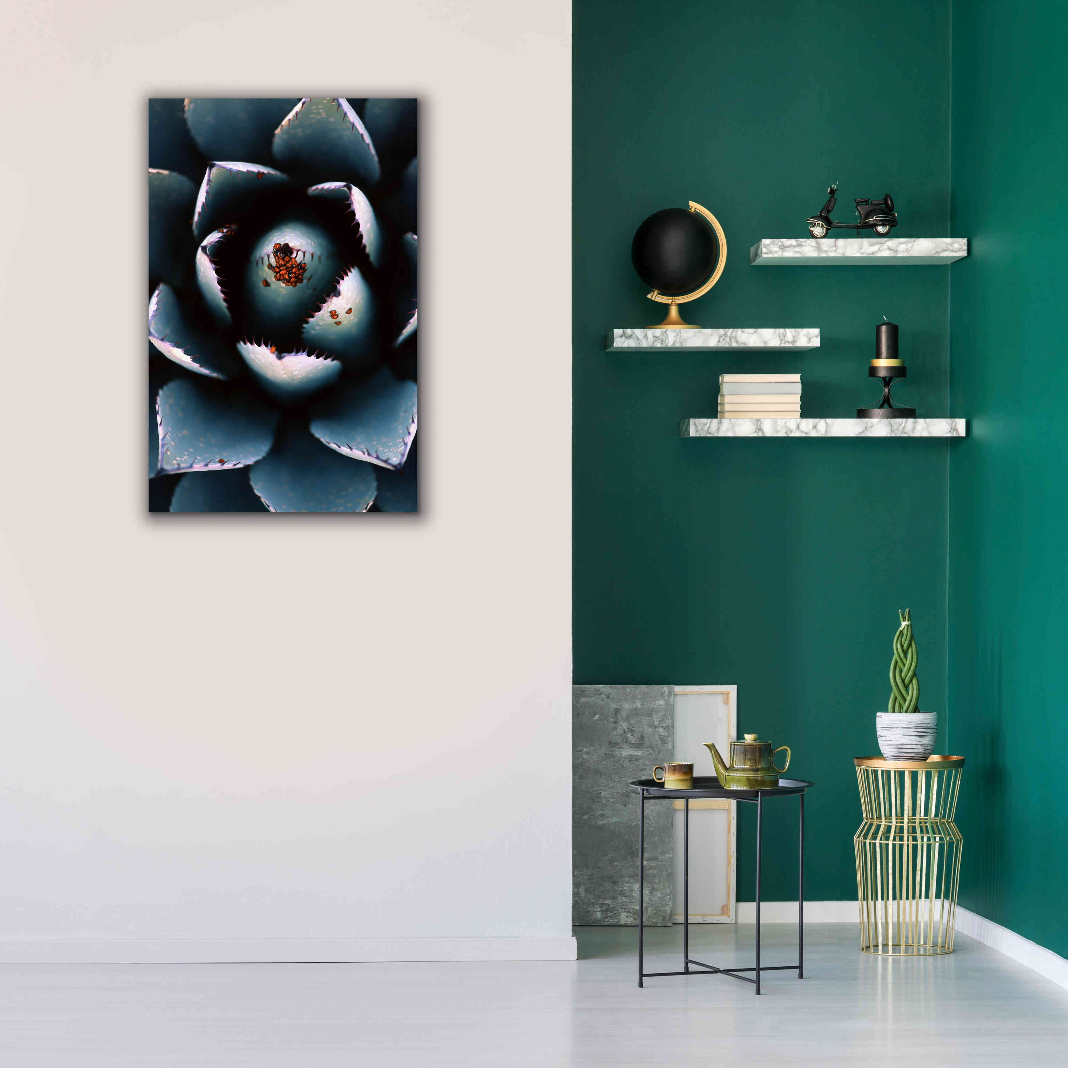 'Ladybugs Agave' by Thomas Haney, Giclee Canvas Wall Art,26 x 40