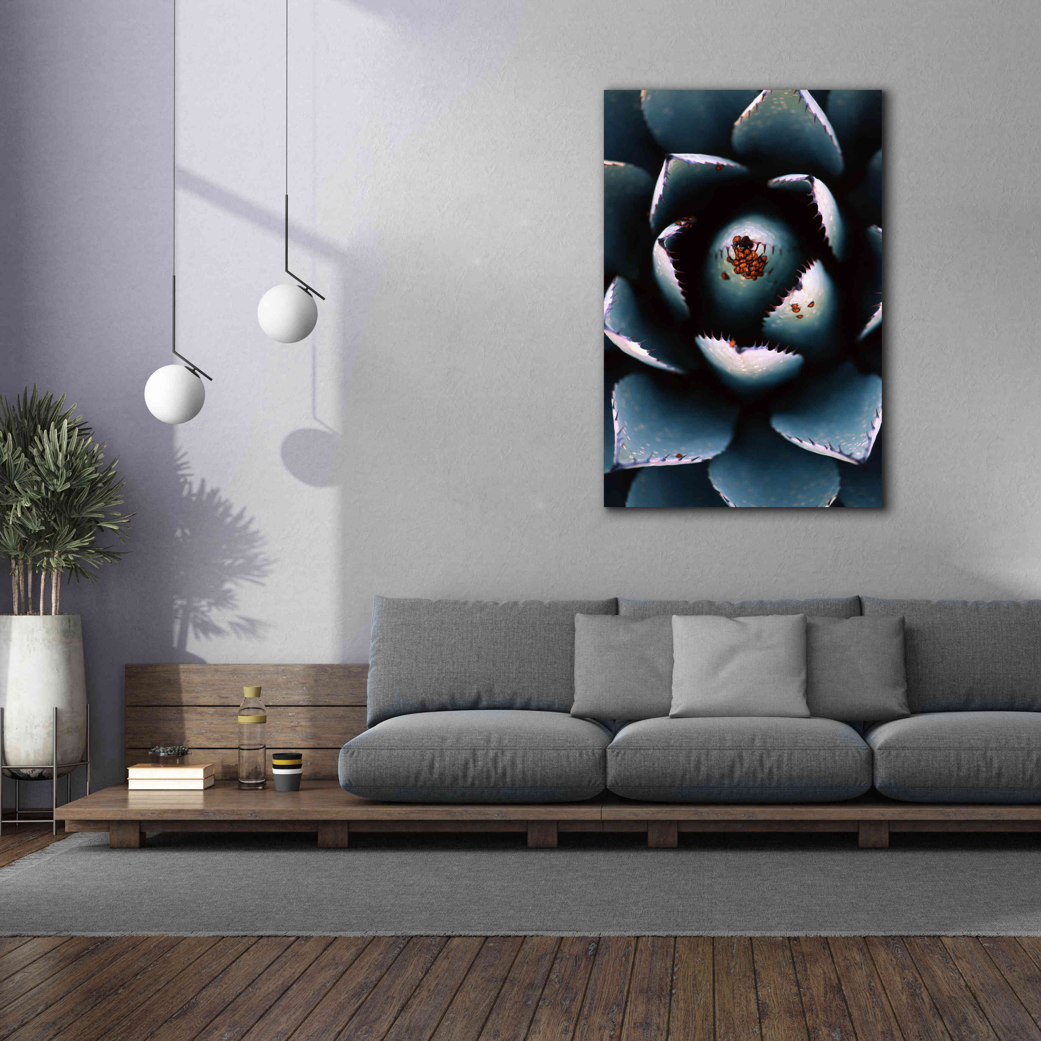 'Ladybugs Agave' by Thomas Haney, Giclee Canvas Wall Art,40 x 60