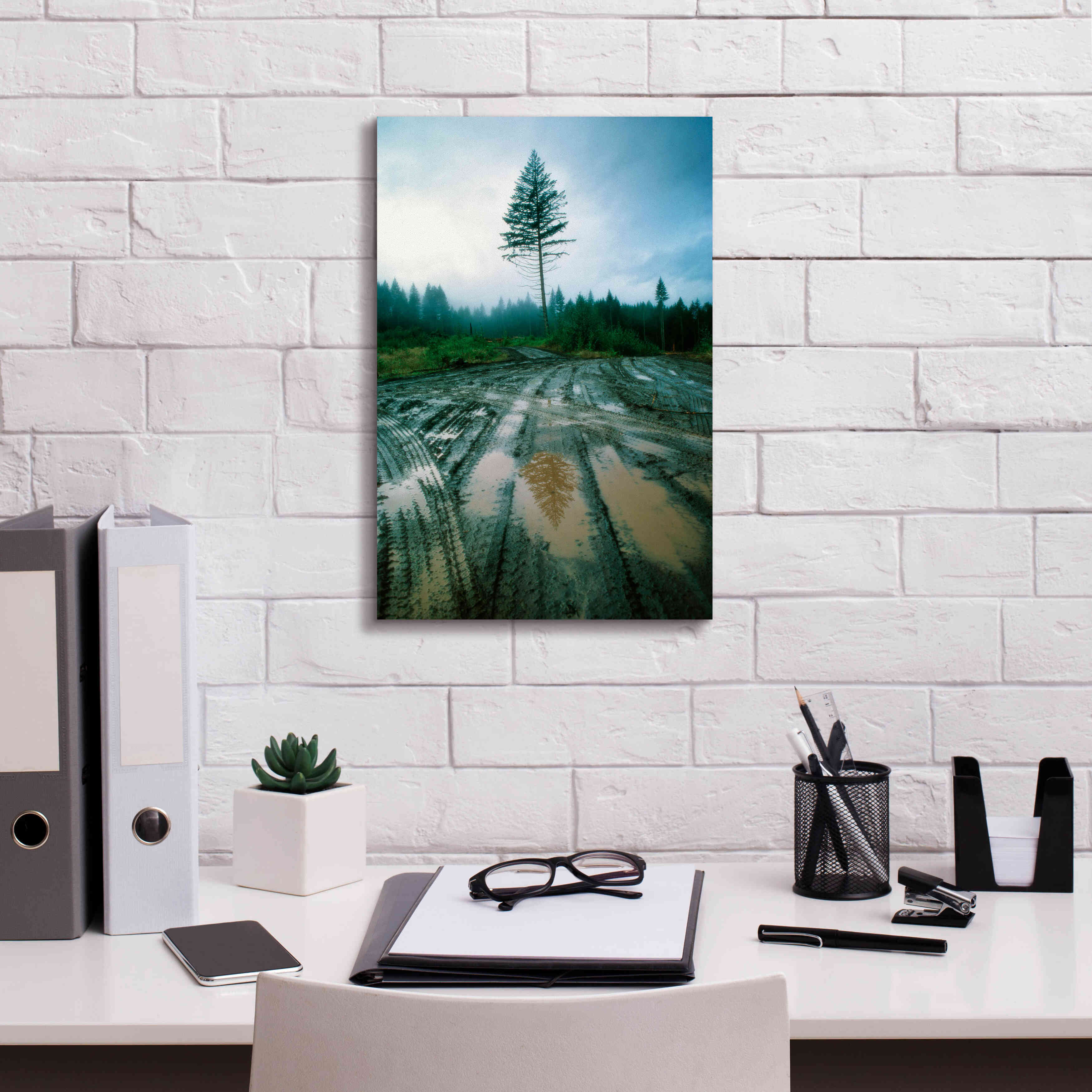 'Lonefir' by Thomas Haney, Giclee Canvas Wall Art,12 x 18
