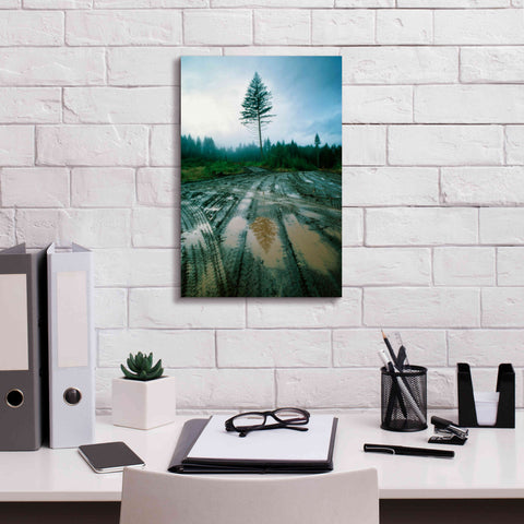 Image of 'Lonefir' by Thomas Haney, Giclee Canvas Wall Art,12 x 18