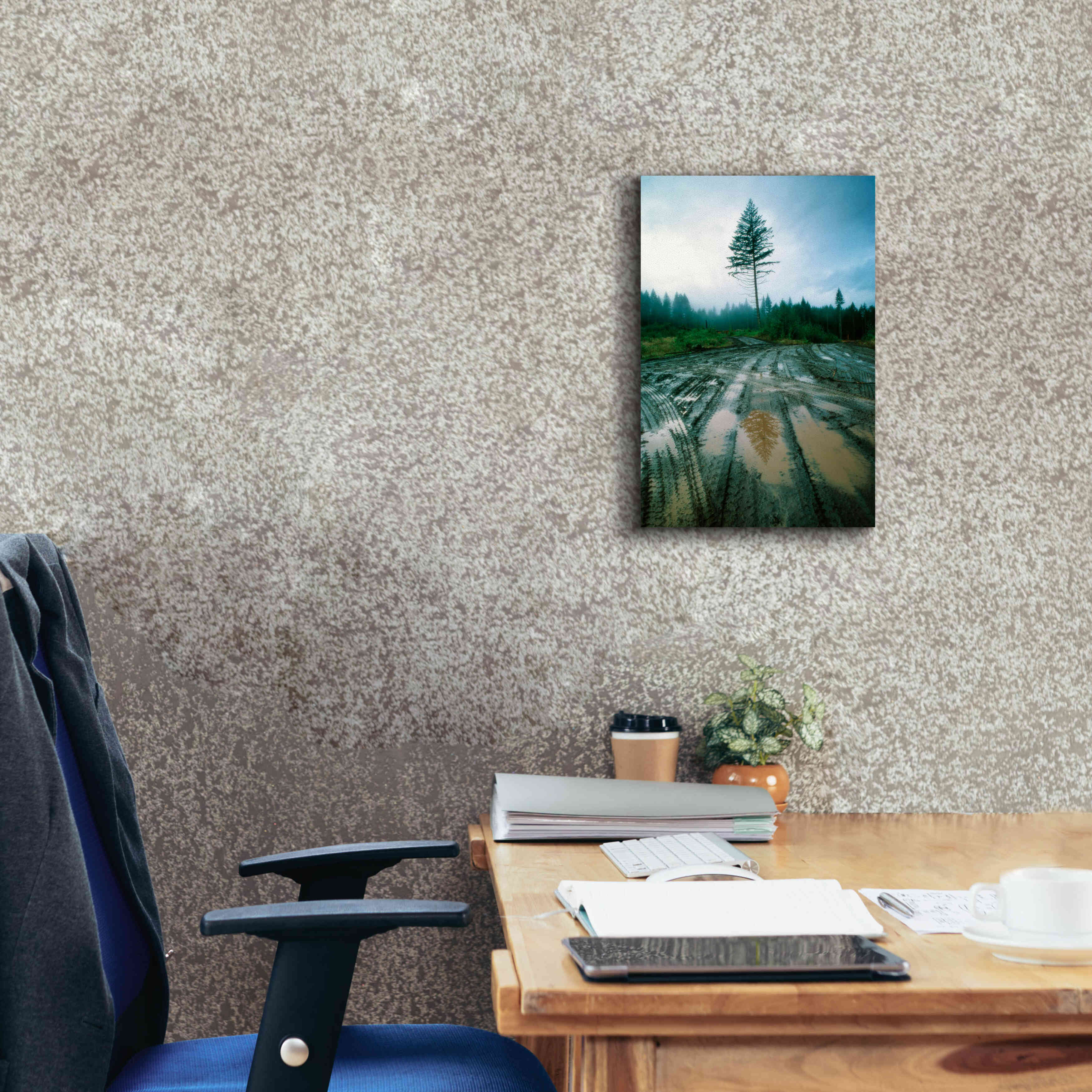 'Lonefir' by Thomas Haney, Giclee Canvas Wall Art,12 x 18