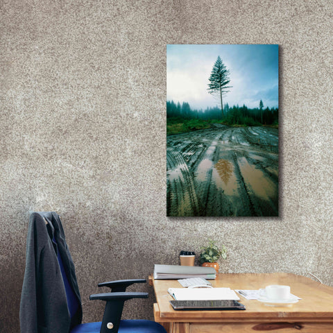 Image of 'Lonefir' by Thomas Haney, Giclee Canvas Wall Art,26 x 40