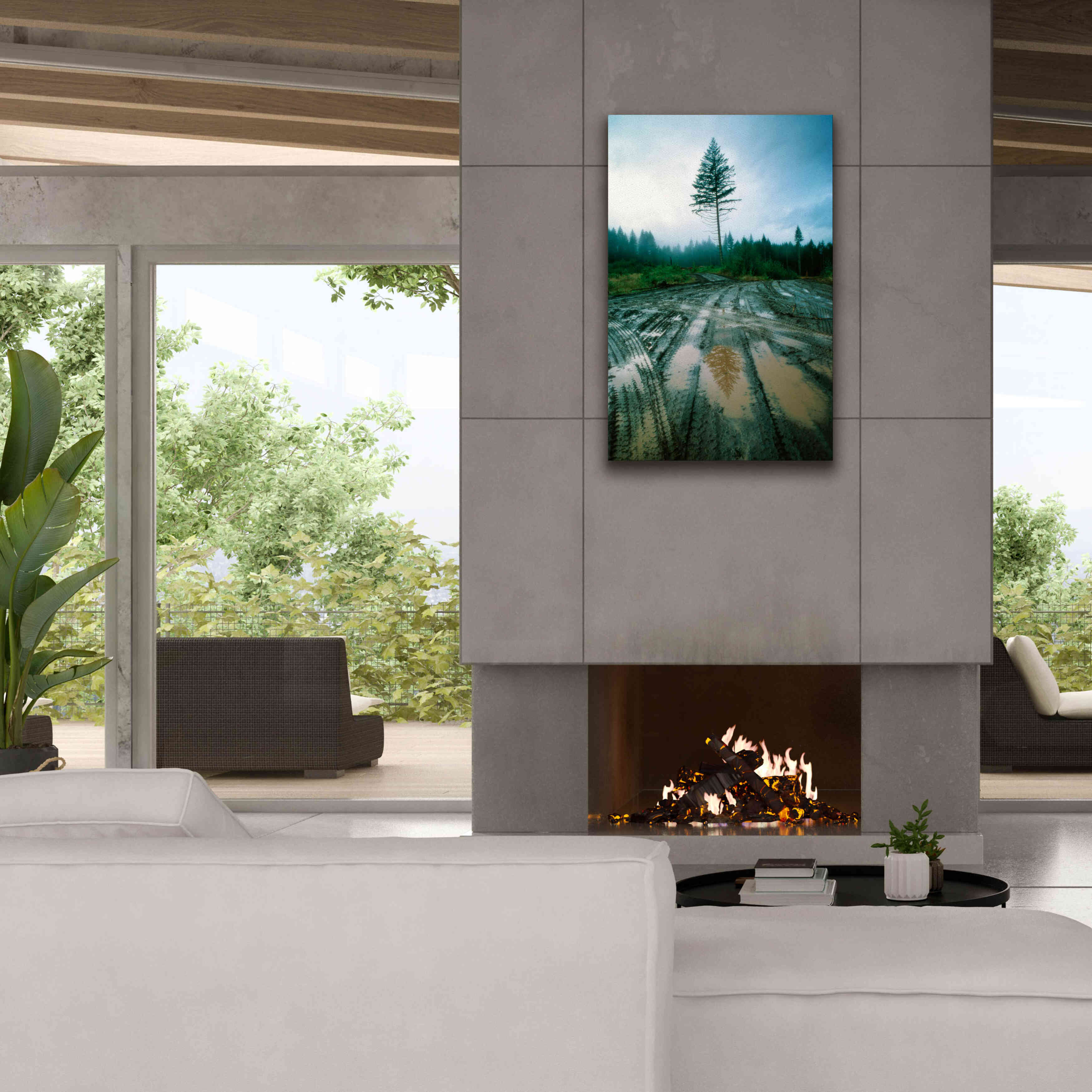 'Lonefir' by Thomas Haney, Giclee Canvas Wall Art,26 x 40