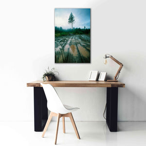 'Lonefir' by Thomas Haney, Giclee Canvas Wall Art,26 x 40