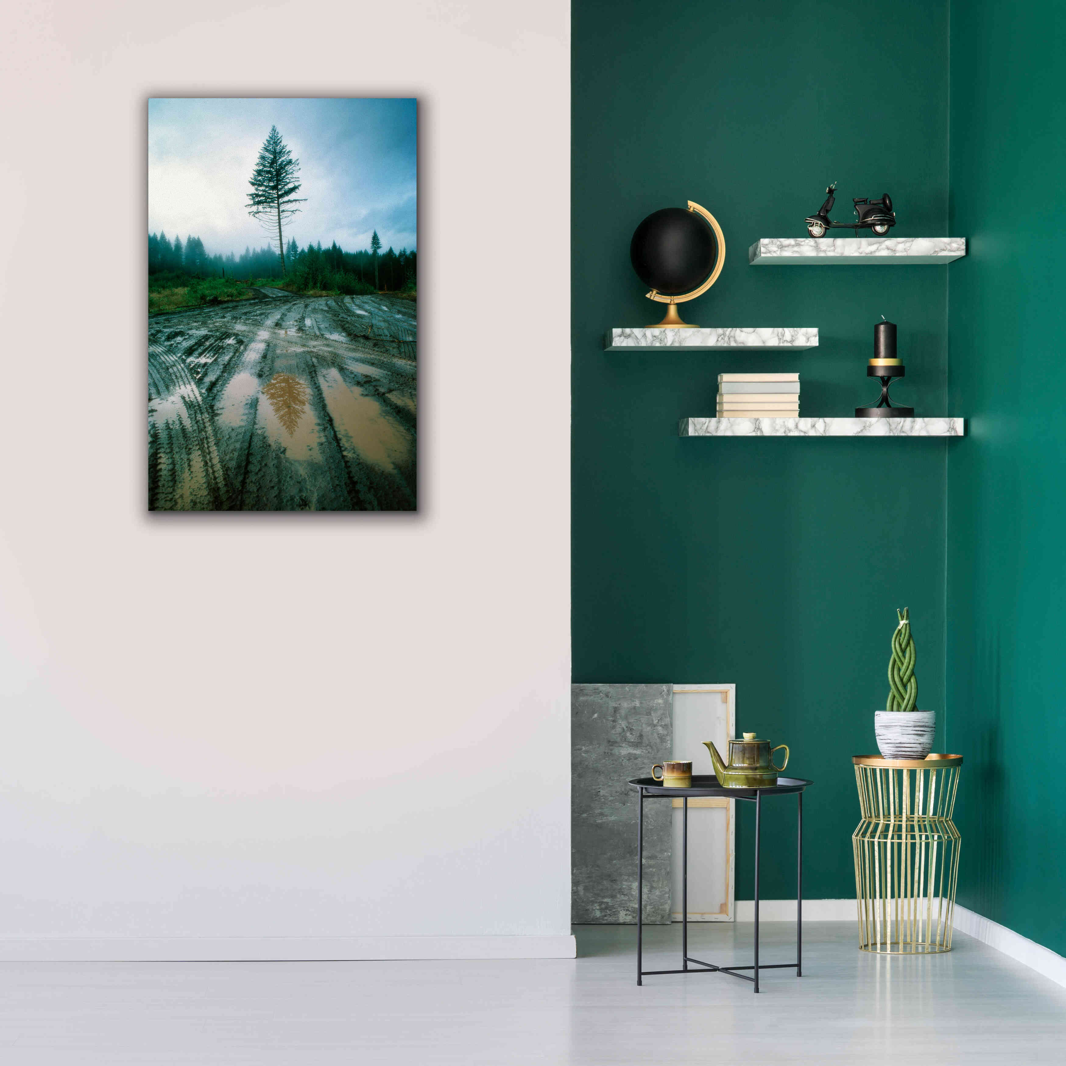 'Lonefir' by Thomas Haney, Giclee Canvas Wall Art,26 x 40