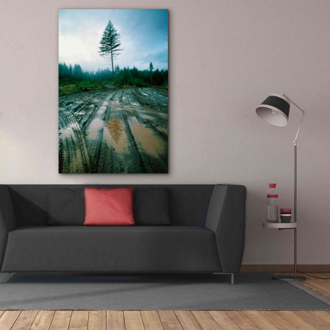 Image of 'Lonefir' by Thomas Haney, Giclee Canvas Wall Art,40 x 60