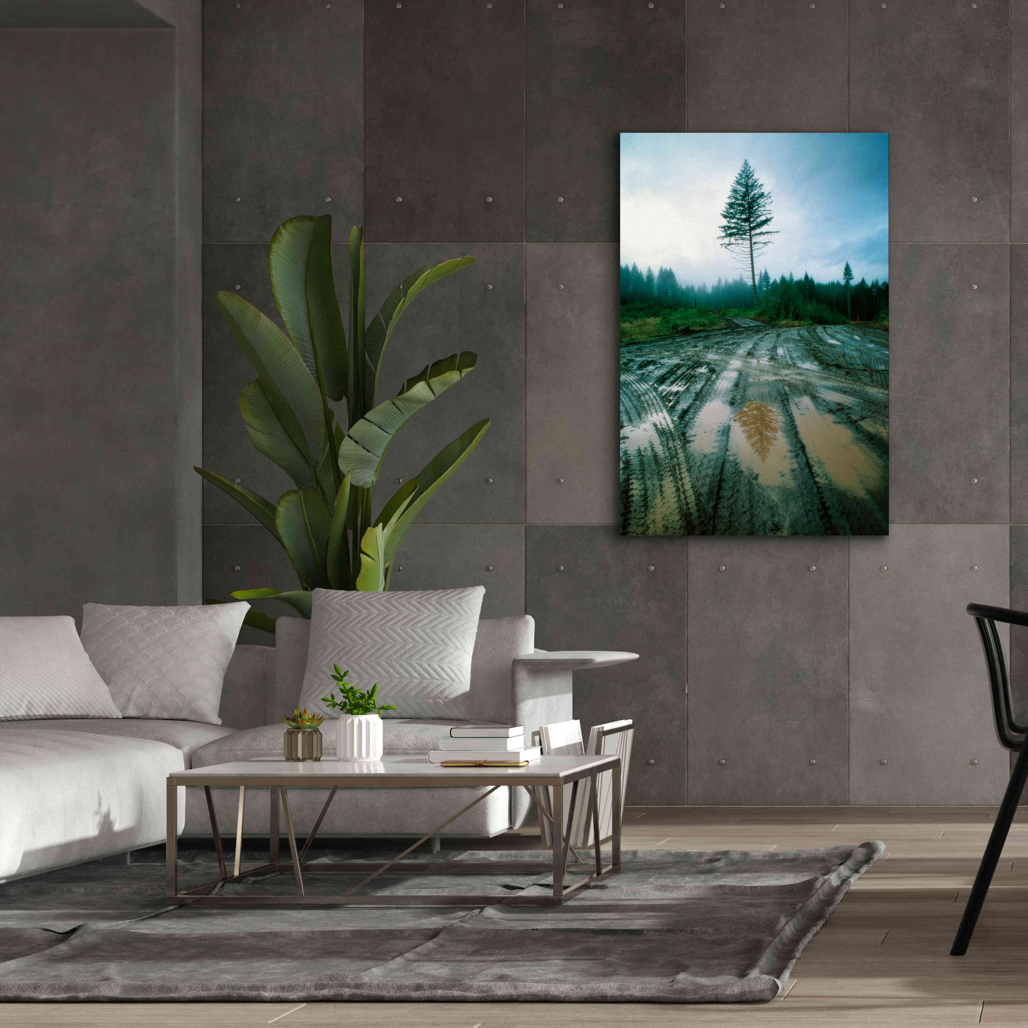 'Lonefir' by Thomas Haney, Giclee Canvas Wall Art,40 x 60