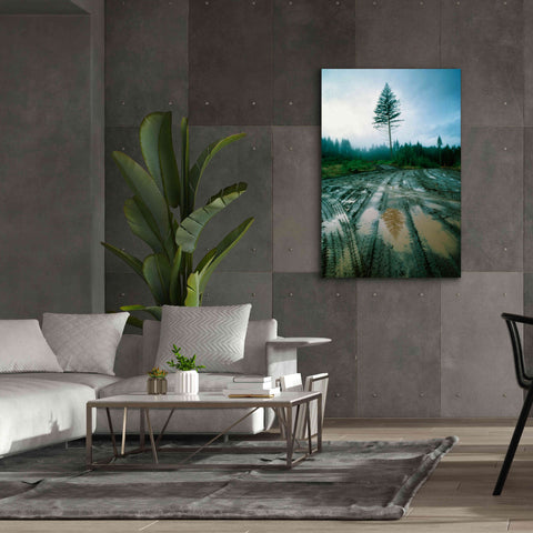 Image of 'Lonefir' by Thomas Haney, Giclee Canvas Wall Art,40 x 60