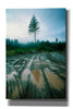 'Lonefir' by Thomas Haney, Giclee Canvas Wall Art