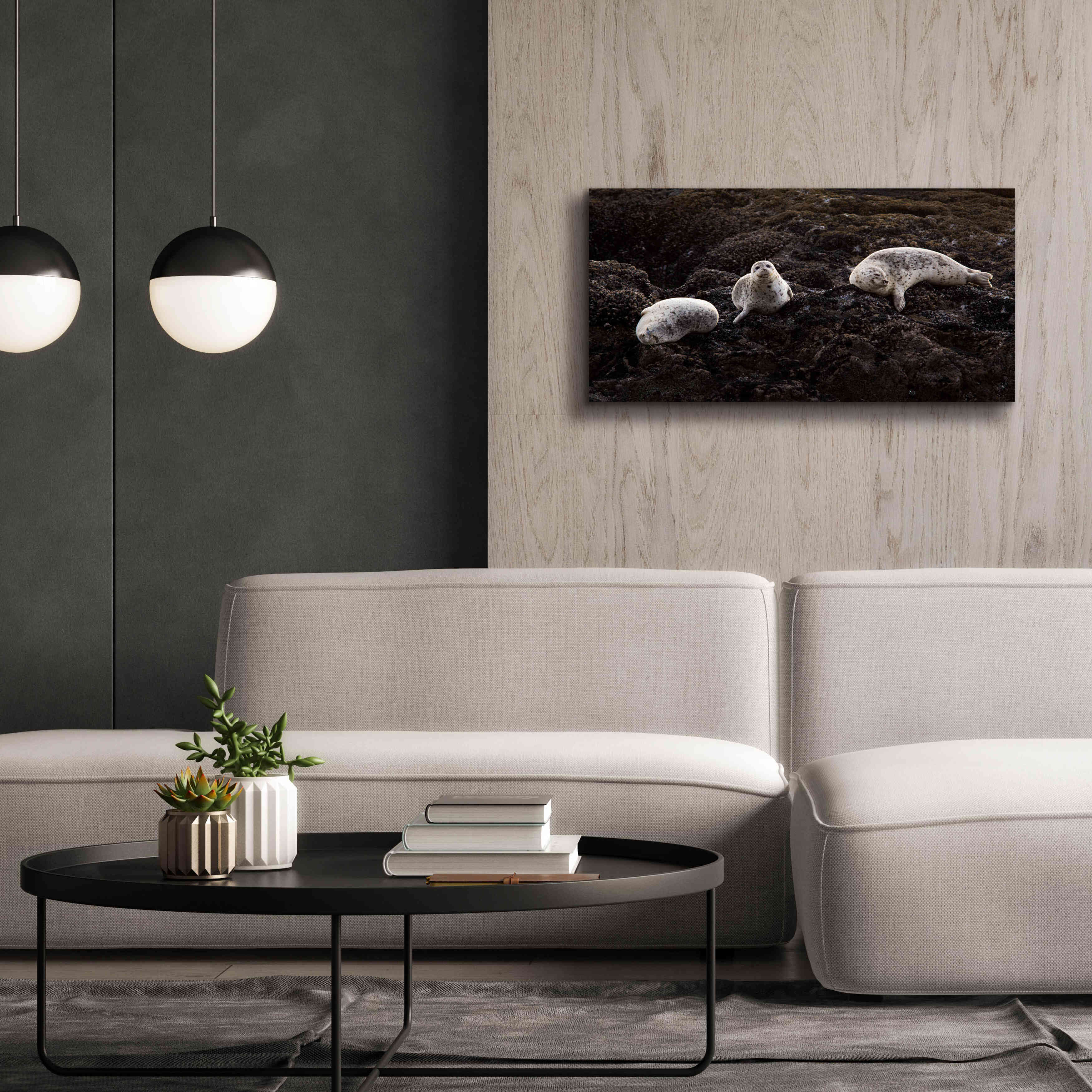 'Lounging Seals' by Thomas Haney, Giclee Canvas Wall Art,40 x 20