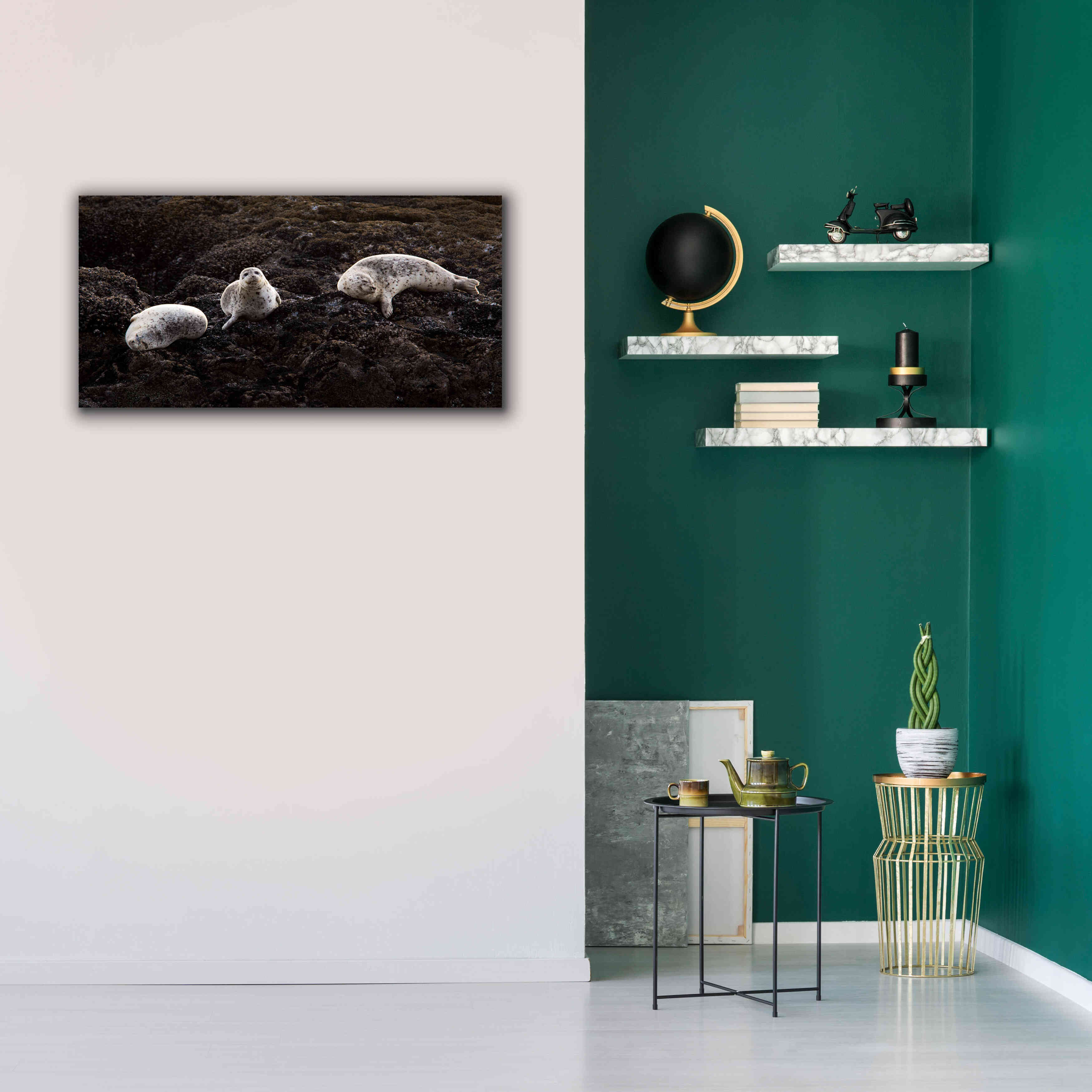 'Lounging Seals' by Thomas Haney, Giclee Canvas Wall Art,40 x 20