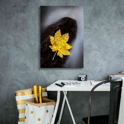 Image of 'Maple Leaf Stranded' by Thomas Haney, Giclee Canvas Wall Art,18 x 26