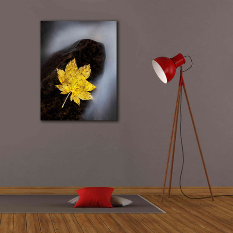 Image of 'Maple Leaf Stranded' by Thomas Haney, Giclee Canvas Wall Art,26 x 34