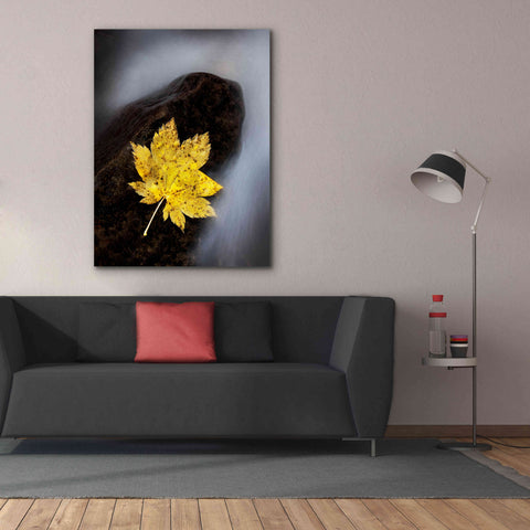 Image of 'Maple Leaf Stranded' by Thomas Haney, Giclee Canvas Wall Art,40 x 54