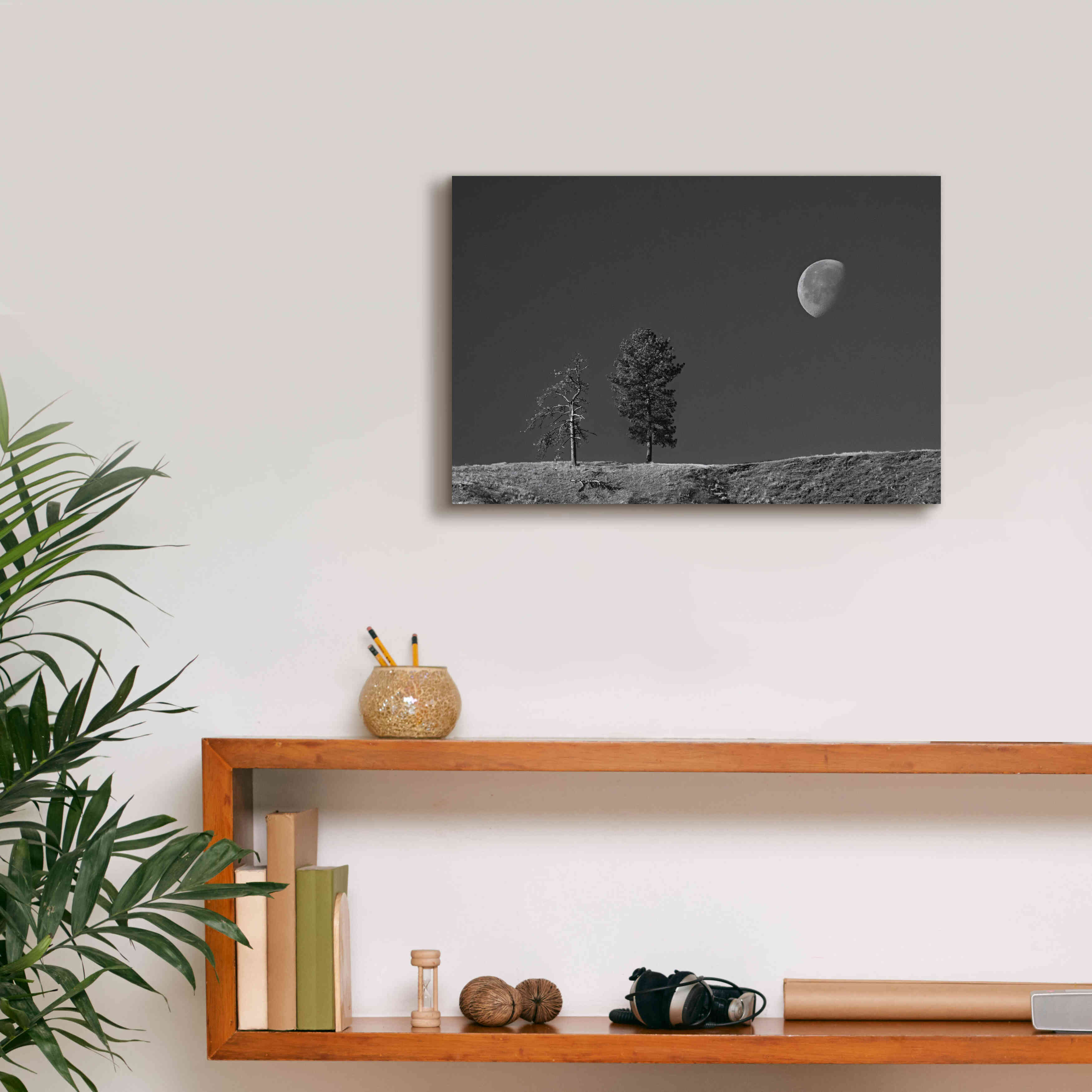 'Moon Trees Hill' by Thomas Haney, Giclee Canvas Wall Art,18 x 12
