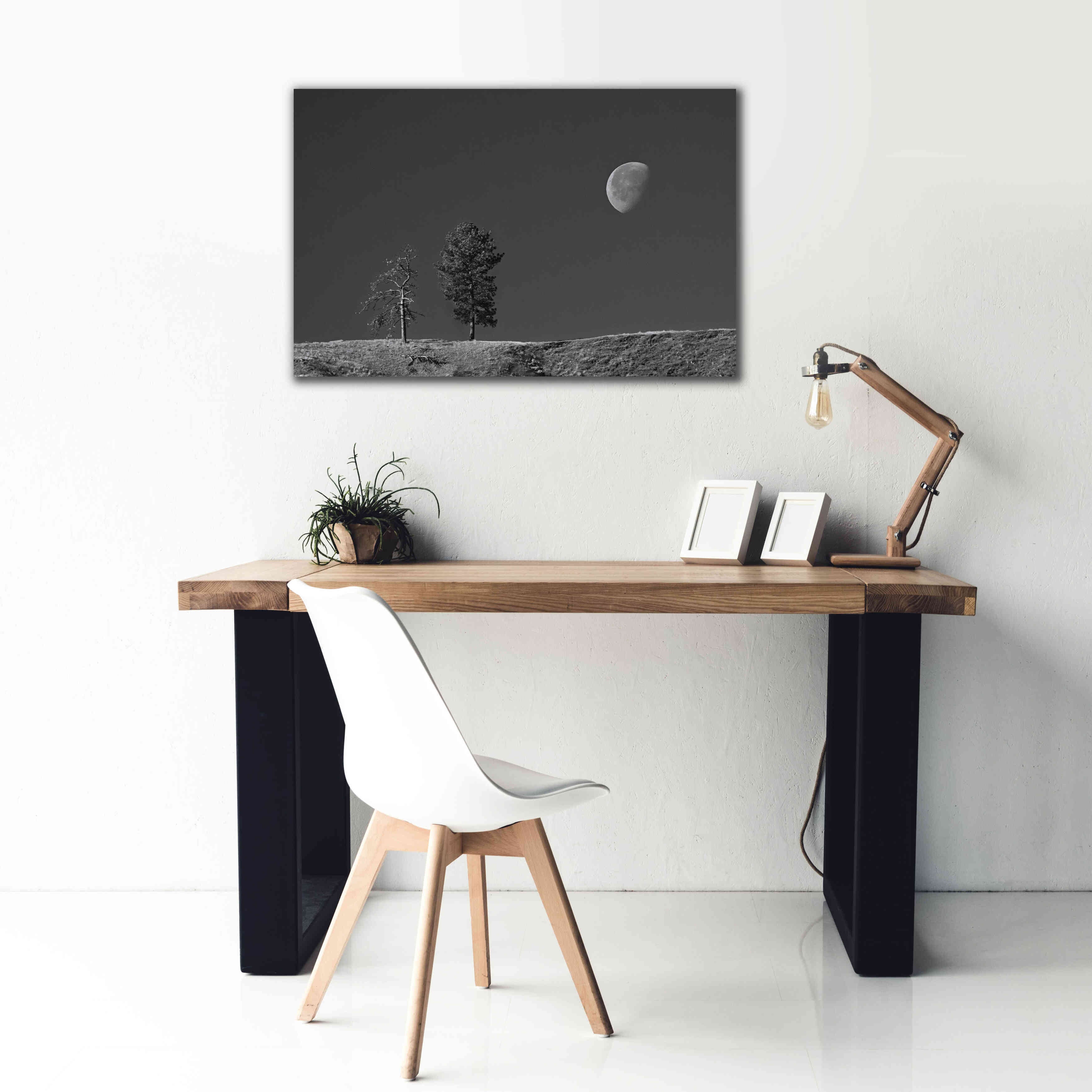 'Moon Trees Hill' by Thomas Haney, Giclee Canvas Wall Art,40 x 26