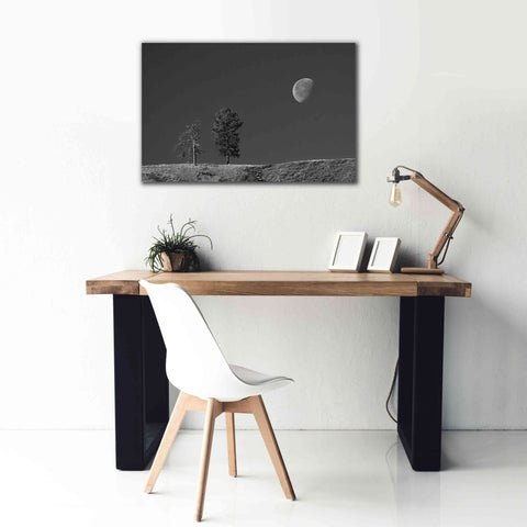 Image of 'Moon Trees Hill' by Thomas Haney, Giclee Canvas Wall Art,40 x 26