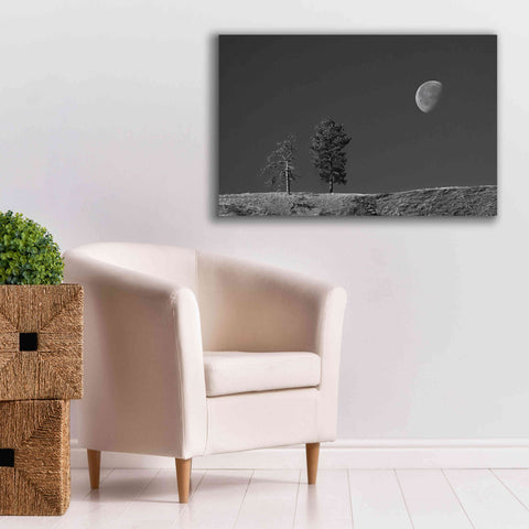 Image of 'Moon Trees Hill' by Thomas Haney, Giclee Canvas Wall Art,40 x 26