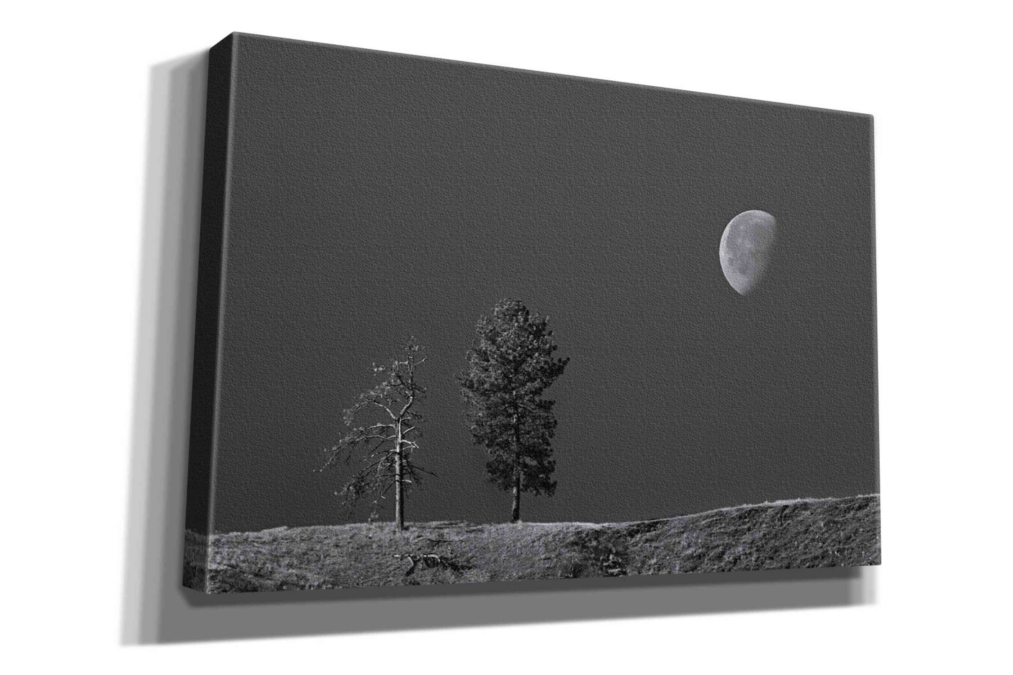 'Moon Trees Hill' by Thomas Haney, Giclee Canvas Wall Art