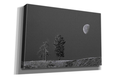 Image of 'Moon Trees Hill' by Thomas Haney, Giclee Canvas Wall Art