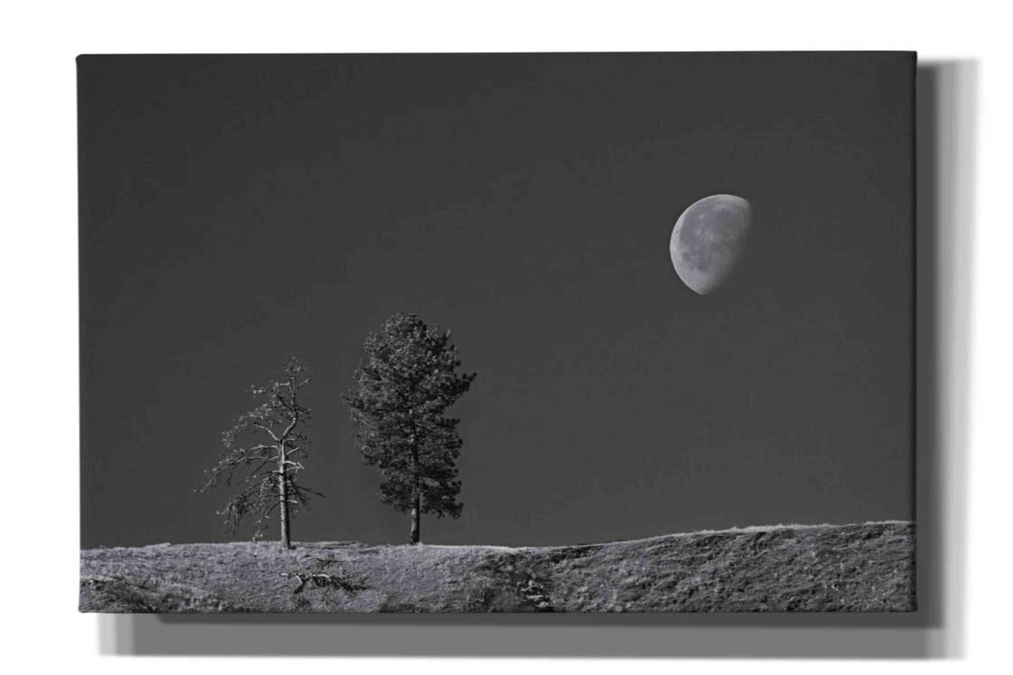 'Moon Trees Hill' by Thomas Haney, Giclee Canvas Wall Art