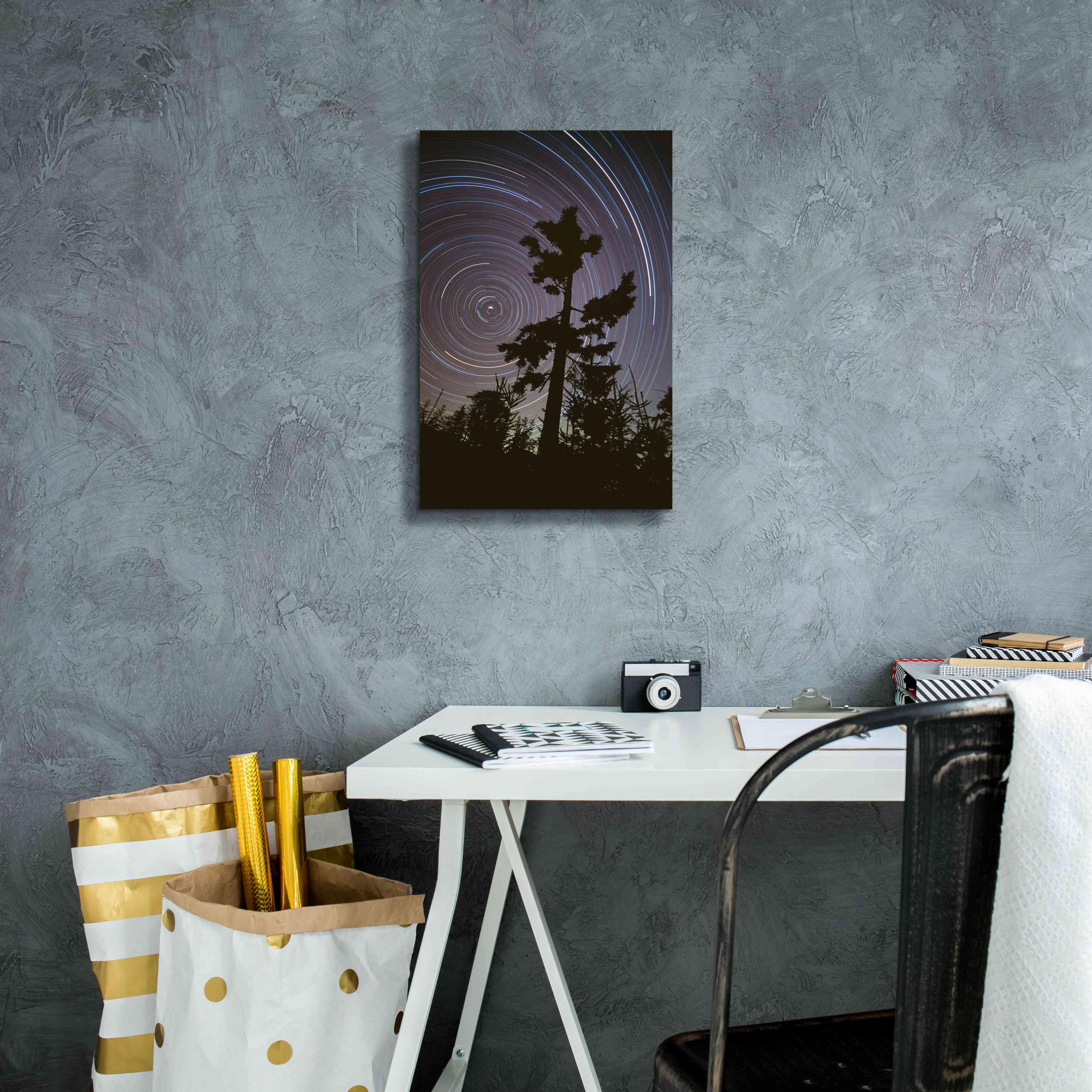 'Polaris Pine' by Thomas Haney, Giclee Canvas Wall Art,12 x 18