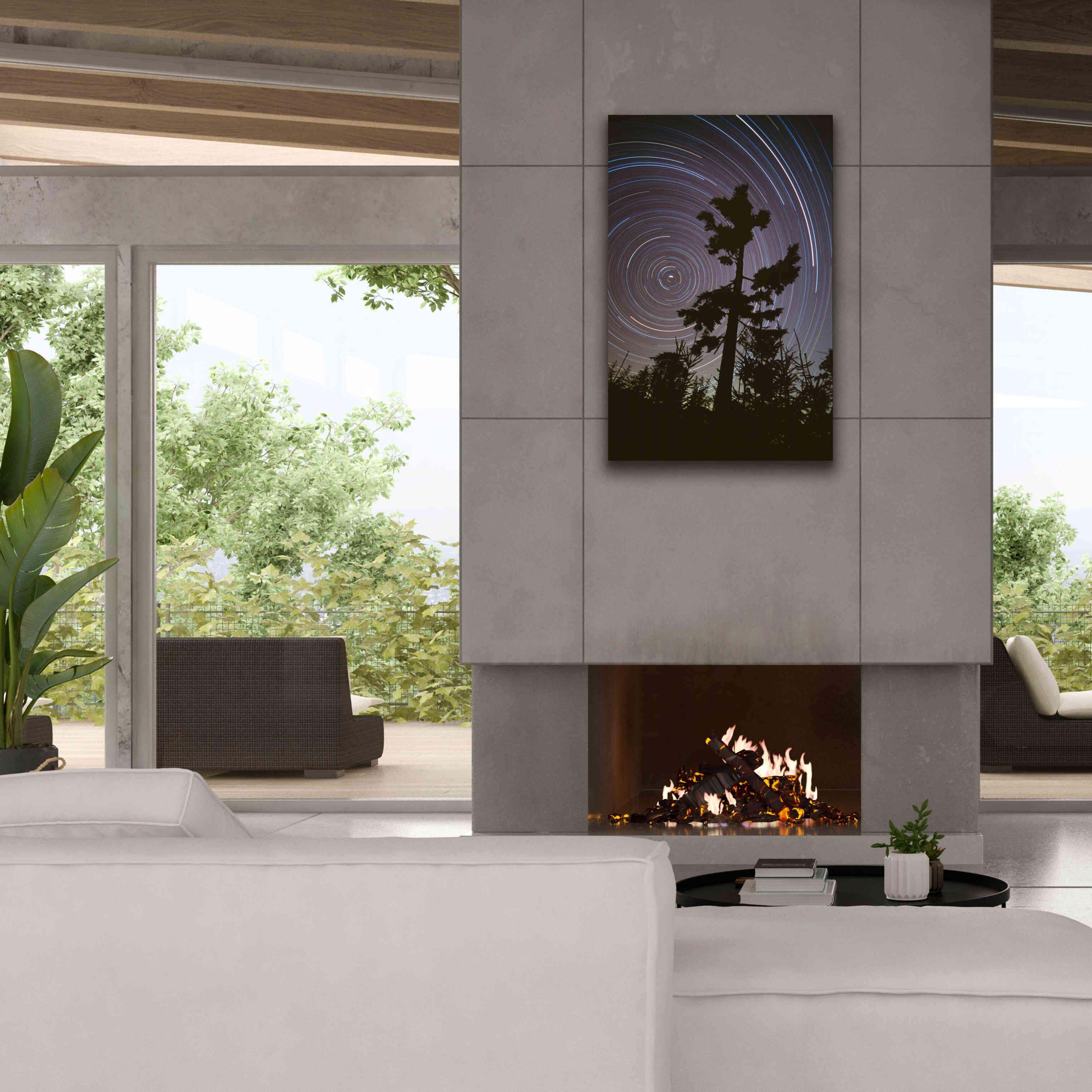 'Polaris Pine' by Thomas Haney, Giclee Canvas Wall Art,26 x 40